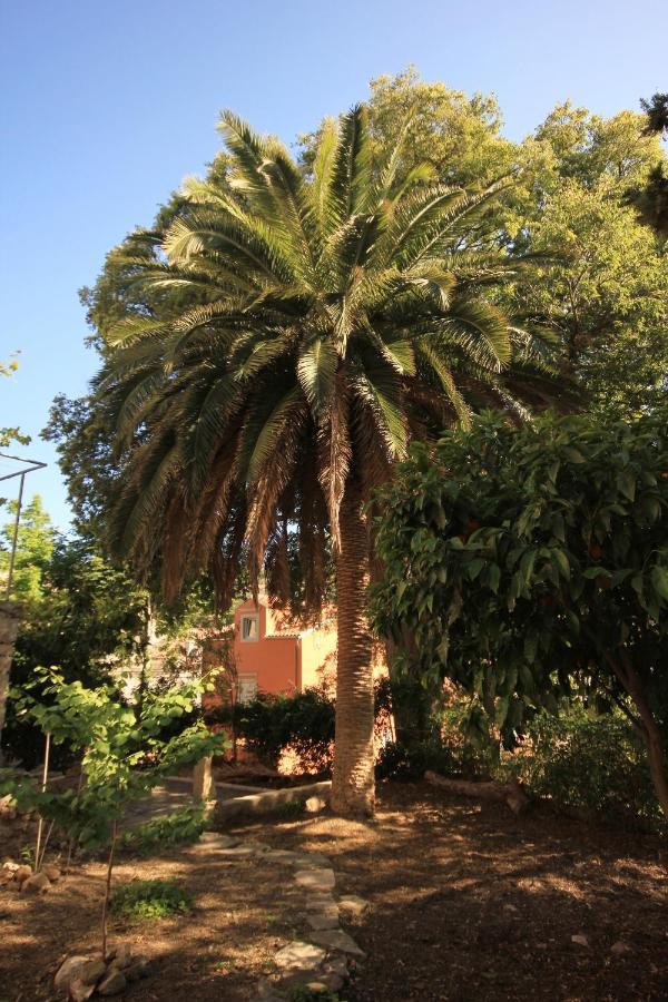 Holiday House With Wifi מאלי לוסיניי מראה חיצוני תמונה